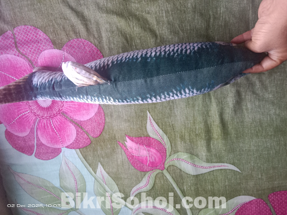 মাছের বালিশ